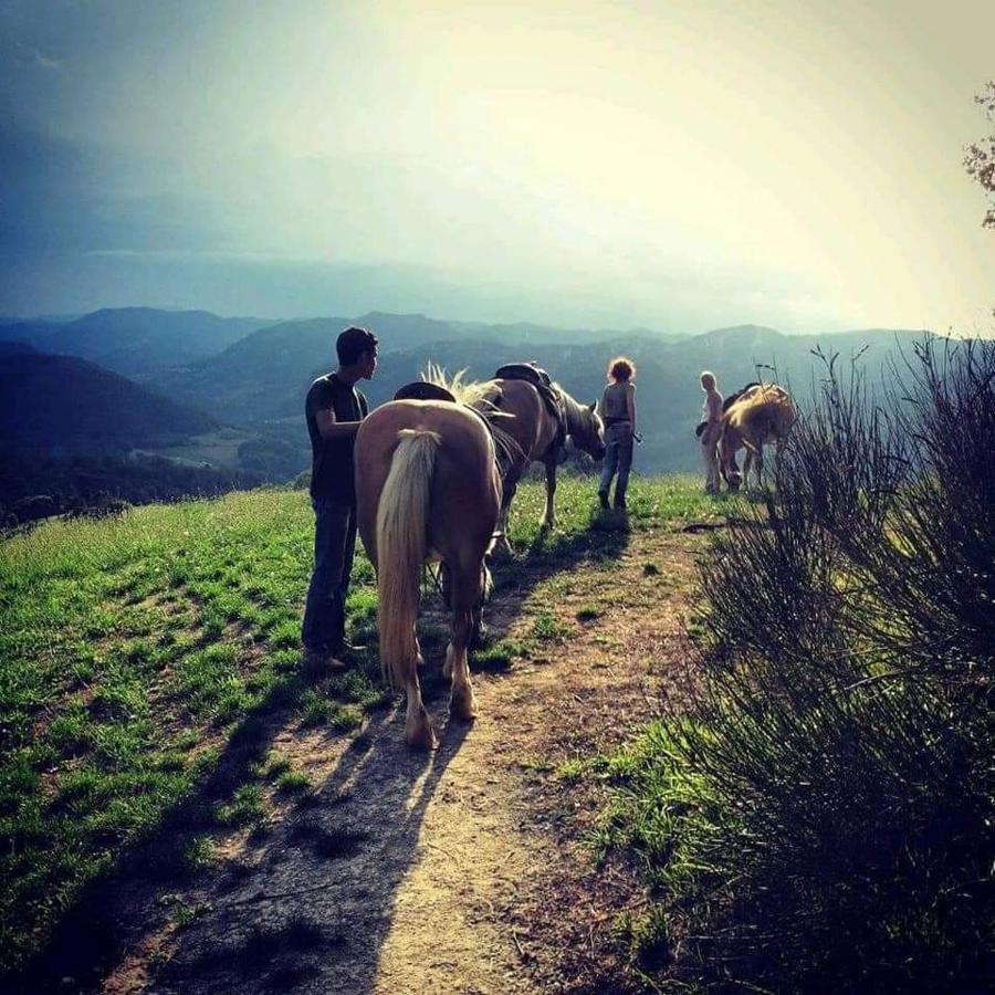 Monte Termine Country House Rioveggio Dış mekan fotoğraf